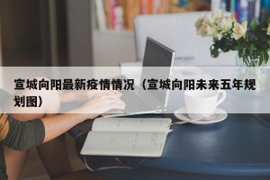 宣城向阳最新疫情情况（宣城向阳未来五年规划图）